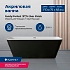 Акриловая ванна Aquanet Family Perfect 170x75 13775-GW-MB Акриловая ванна Aquanet Family Perfect 170x75 13775-GW-MB