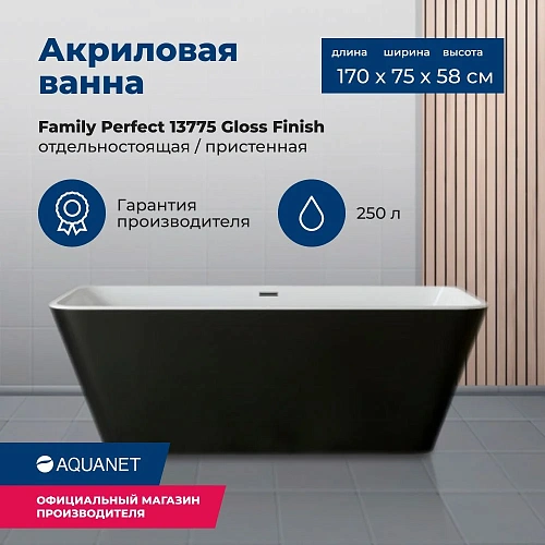 Акриловая ванна Aquanet Family Perfect 170x75 13775-GW-MB Акриловая ванна Aquanet Family Perfect 170x75 13775-GW-MB