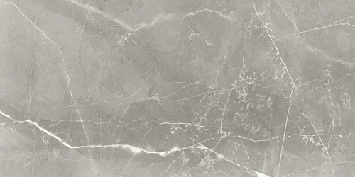 Керамогранит Neodom Supreme Fior Di Bosco Polished 60x120 N70005 Керамогранит Neodom Supreme Fior Di Bosco Polished 60x120 N70005