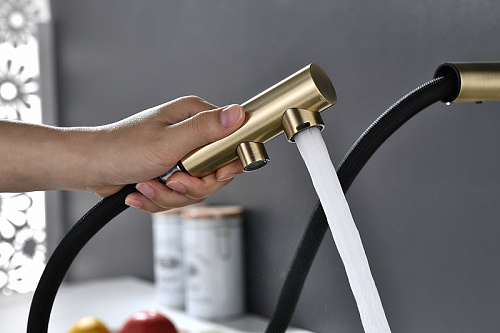 Смеситель для кухни Paulmark SERPENTINE бронза Se213222-BR Смеситель для кухни Paulmark SERPENTINE бронза Se213222-BR