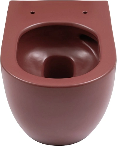 Унитаз подвесной Allen Brau Reality 4.32015.BD сиденье с микролифт бордо Унитаз подвесной Allen Brau Reality 4.32015.BD сиденье с микролифт бордо