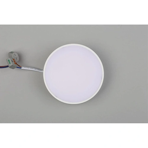 Светильник настенно-потолочный Aployt Evon APL.0113.09.12 Светильник настенно-потолочный Aployt Evon APL.0113.09.12