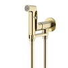 Гигиенический душ Aquatek АЛЬФА AQ1919BG шлифованное золото Гигиенический душ Aquatek АЛЬФА AQ1919BG шлифованное золото