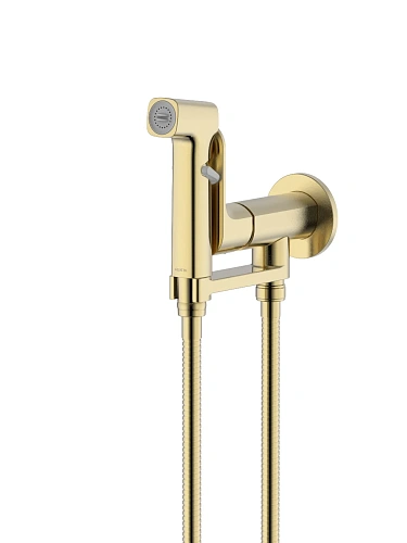 Гигиенический душ Aquatek АЛЬФА AQ1919BG шлифованное золото Гигиенический душ Aquatek АЛЬФА AQ1919BG шлифованное золото