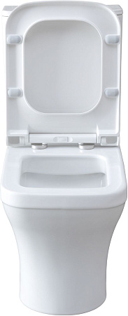 Чаша напольного унитаза Allen Brau Infinity 4.21012.20 с крышкой, белый глянец