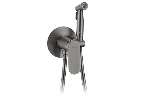 Гигиенический душ Raglo R10.52.09 встраиваемый, графит Гигиенический душ Raglo R10.52.09 встраиваемый, графит