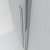 Душевая дверь Ambassador Intense 110021105IX (1600x2000) Душевая дверь Ambassador Intense 110021105IX (1600x2000)