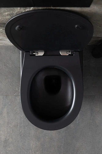 Унитаз подвесной Allen Brau Reality 4.32006.31 с крышкой, черный матовый Унитаз подвесной Allen Brau Reality 4.32006.31 с крышкой, черный матовый