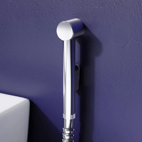 Гигиеническая лейка Damixa 760210164 Гигиеническая лейка Damixa 760210164