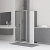 Душевая дверь RGW CL-21 1100 мм 04092111-11
