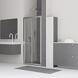 Душевая дверь RGW CL-21 1100 мм 04092111-11 Душевая дверь RGW CL-21 1100 мм 04092111-11