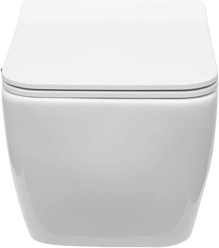 Унитаз подвесной Allen Brau Liberty 4.33009.20 с крышкой, белый Унитаз подвесной Allen Brau Liberty 4.33009.20 с крышкой, белый