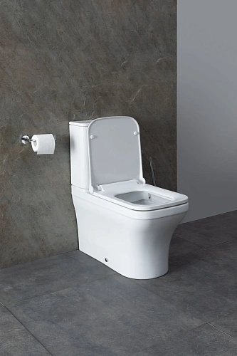 Чаша напольного унитаза Allen Brau Infinity 4.21012.20 с крышкой, белый глянец Чаша напольного унитаза Allen Brau Infinity 4.21012.20 с крышкой, белый глянец