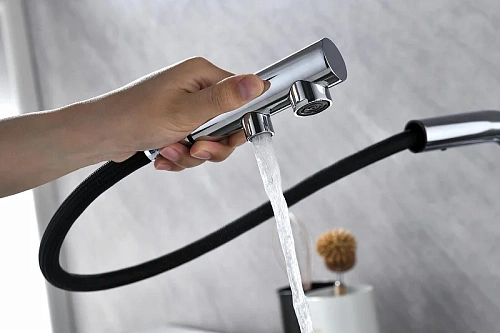 Смеситель для кухни Paulmark SERPENTINE хром Se213222-CR Смеситель для кухни Paulmark SERPENTINE хром Se213222-CR