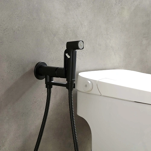 Гигиенический душ Aquatek АЛЬФА AQ1919MB матовый черный Гигиенический душ Aquatek АЛЬФА AQ1919MB матовый черный