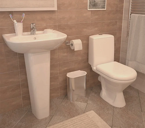 Чаша напольного унитаза Jika Era 8.2453.3.000.000.1 без сиденья Чаша напольного унитаза Jika Era 8.2453.3.000.000.1 без сиденья