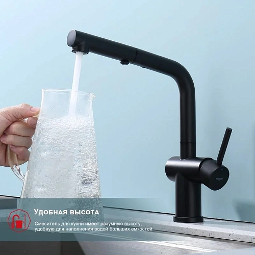 Смеситель для кухни Raglo R86.49.06 с выдвижным изливом, черный Смеситель для кухни Raglo R86.49.06 с выдвижным изливом, черный