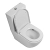 Унитаз напольный BelBagno SFERA-TOR BB2141CP-TOR/BB2141T/BB865SC безободковый с сиденьем Унитаз напольный BelBagno SFERA-TOR BB2141CP-TOR/BB2141T/BB865SC безободковый с сиденьем