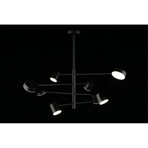 Люстра потолочная Aployt Frania APL.017.07.48 Люстра потолочная Aployt Frania APL.017.07.48