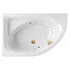 Картинка анонса товара «акриловая ванна excellent aquarella 170x110 (левая) nano (золото) waex.arl17.nano.gl»