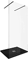 Душевая перегородка Allen Brau Infinity 2 100 3.21039.BBA черный брашированный Душевая перегородка Allen Brau Infinity 2 100 3.21039.BBA черный брашированный