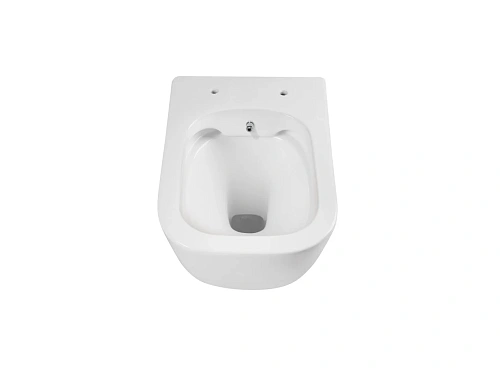 Унитаз подвесной Aquatek ДИВА AQ2012B-00 510x350x360 мм с функцией биде, тонкое сиденье микролифт Унитаз подвесной Aquatek ДИВА AQ2012B-00 510x350x360 мм с функцией биде, тонкое сиденье микролифт