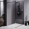 Душевая перегородка AM.PM Func W84WI-120-F1-BTE 120x200, стекло прозрачное 8 мм с покрытием, профиль черный Душевая перегородка AM.PM Func W84WI-120-F1-BTE 120x200, стекло прозрачное 8 мм с покрытием, профиль черный