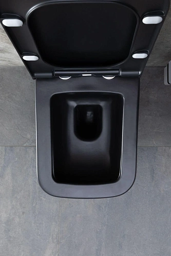 Унитаз подвесной Allen Brau Infinity 4.21011.31 с крышкой, черный матовый Унитаз подвесной Allen Brau Infinity 4.21011.31 с крышкой, черный матовый