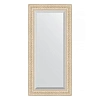 Зеркало в багетной раме Evoform Exclusive BY 1242 55 x 115 см, старый гипс Зеркало в багетной раме Evoform Exclusive BY 1242 55 x 115 см, старый гипс