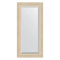 Зеркало в багетной раме Evoform Exclusive BY 1242 55 x 115 см, старый гипс Зеркало в багетной раме Evoform Exclusive BY 1242 55 x 115 см, старый гипс