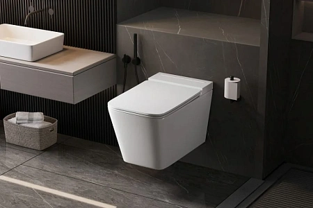 Унитаз подвесной ABBER Rechteck AC1202P белый с импульсным смывом с крышкой микролифт Унитаз подвесной ABBER Rechteck AC1202P белый с импульсным смывом с крышкой микролифт