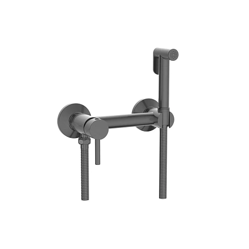 Гигиенический душ RGW Shower Panels SP-215Gr серый brush Гигиенический душ RGW Shower Panels SP-215Gr серый brush