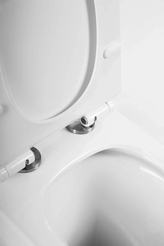 Унитаз напольный BelBagno NORMA BB339CPR/BB2111SC безободковый с сиденьем Унитаз напольный BelBagno NORMA BB339CPR/BB2111SC безободковый с сиденьем