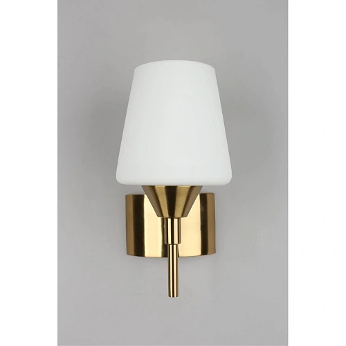 Светильник настенный (Бра) Aployt Lyus APL.840.01.01 Светильник настенный (Бра) Aployt Lyus APL.840.01.01