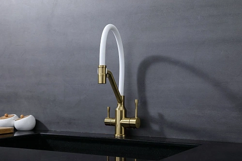 Смеситель для кухни Raglo R81.62.03 с гибким изливом с подключением к фильтру, золотой сатин Смеситель для кухни Raglo R81.62.03 с гибким изливом с подключением к фильтру, золотой сатин