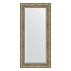 Зеркало в багетной раме Evoform Exclusive BY 3487 55 x 115 см, виньетка античное серебро Зеркало в багетной раме Evoform Exclusive BY 3487 55 x 115 см, виньетка античное серебро