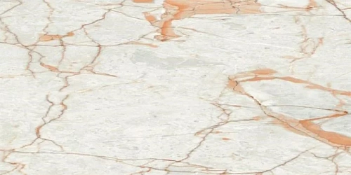 Керамогранит Neodom Ambassador Rosalia Glossy 60x120 CV20196 Керамогранит Neodom Ambassador Rosalia Glossy 60x120 CV20196