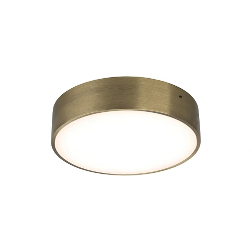 Светильник настенно-потолочный Aployt Evon APL.0114.29.18 Светильник настенно-потолочный Aployt Evon APL.0114.29.18