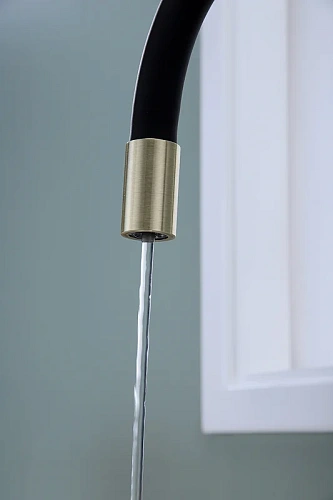 Смеситель для кухни Paulmark Salix бронза Sa213419-BR Смеситель для кухни Paulmark Salix бронза Sa213419-BR