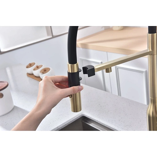 Смеситель для кухни Paulmark Magneto One светлое золото Ma213188-LG Смеситель для кухни Paulmark Magneto One светлое золото Ma213188-LG