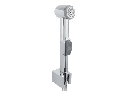 Гигиеническая лейка Aquatek AQ2050CR хром Гигиеническая лейка Aquatek AQ2050CR хром