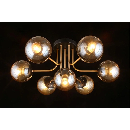 Люстра потолочная Aployt Ewka APL.906.07.07 Люстра потолочная Aployt Ewka APL.906.07.07