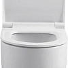Чаша напольного унитаза Allen Brau Priority 4.31003.20 с крышкой, белый Чаша напольного унитаза Allen Brau Priority 4.31003.20 с крышкой, белый