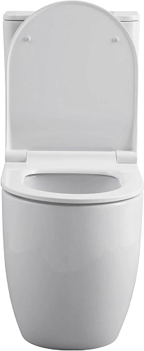 Чаша напольного унитаза Allen Brau Priority 4.31003.20 с крышкой, белый Чаша напольного унитаза Allen Brau Priority 4.31003.20 с крышкой, белый