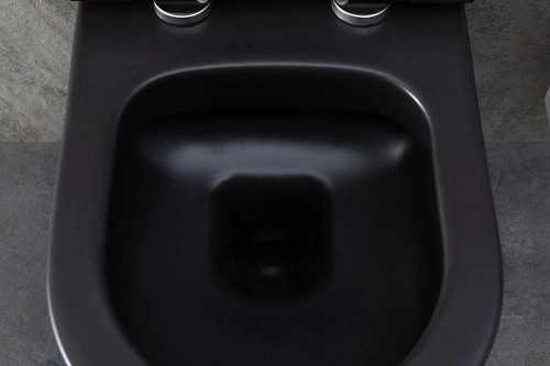Унитаз подвесной Allen Brau Priority 4.31001.31 с крышкой, черный матовый Унитаз подвесной Allen Brau Priority 4.31001.31 с крышкой, черный матовый