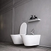 Унитаз подвесной Boheme Avva 972-2-MW с функцией биде белый матовый без сиденья Унитаз подвесной Boheme Avva 972-2-MW с функцией биде белый матовый без сиденья