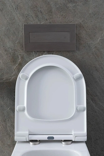 Комплект унитаза Allen Brau Priority 00301296/8.9466.0.000.000.1 (00316508) с инсталляцией, белый глянец Комплект унитаза Allen Brau Priority 00301296/8.9466.0.000.000.1 (00316508) с инсталляцией, белый глянец