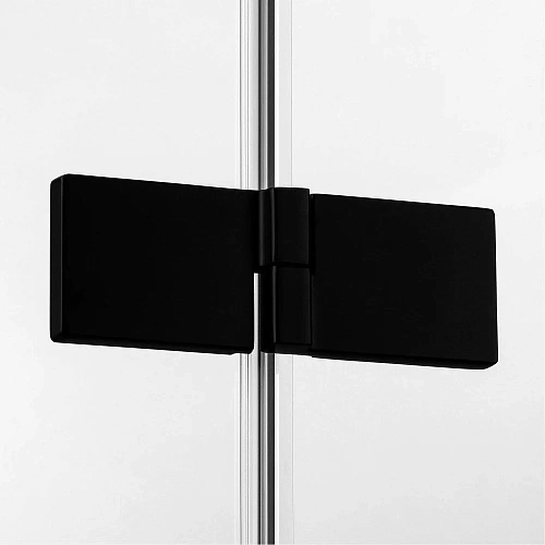 Душевая дверь NEW TRENDY AVEXA BLACK 120x200 EXK-1554 (черный) Душевая дверь NEW TRENDY AVEXA BLACK 120x200 EXK-1554 (черный)