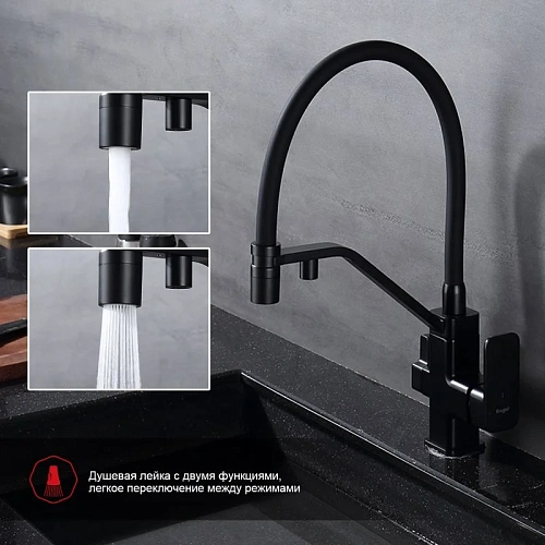 Смеситель для кухни Raglo R85.62.06 с гибким изливом с подключением к фильтру, черный Смеситель для кухни Raglo R85.62.06 с гибким изливом с подключением к фильтру, черный
