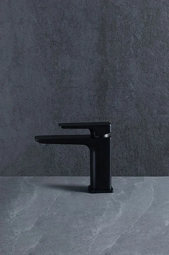 Смеситель для раковины Allen Brau Infinity 5.21001-31 Смеситель для раковины Allen Brau Infinity 5.21001-31